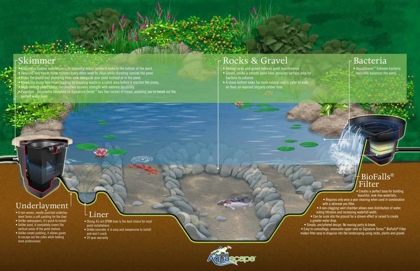 Large Fish Pond Design